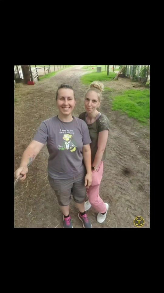 TikTok video thumbnail by stallgelaber