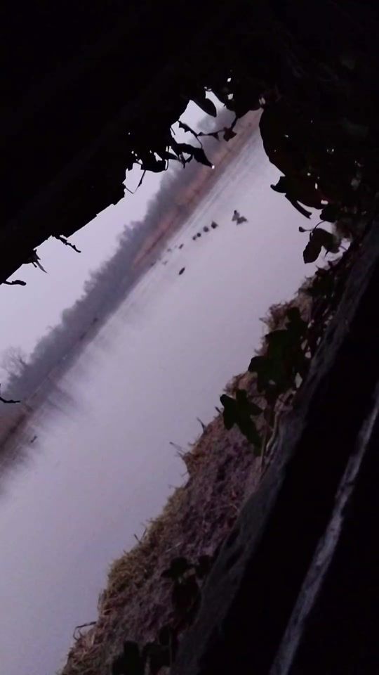TikTok video thumbnail by albin.4321
