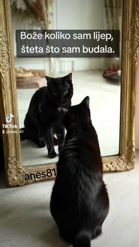 TikTok video thumbnail by anes..81