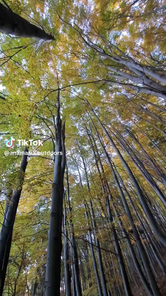 TikTok video thumbnail by vera.vero.80