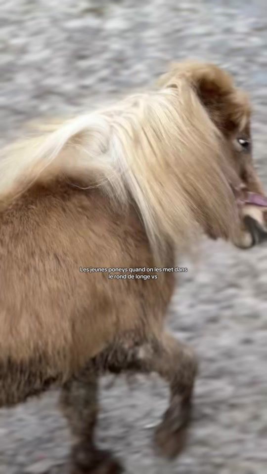 TikTok video thumbnail by lilou._.mrt4