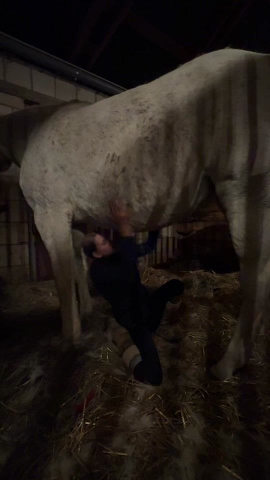 TikTok video thumbnail by gp.equestrainstables