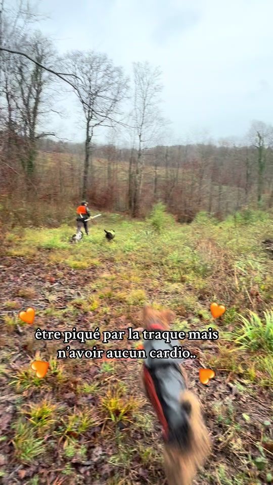 TikTok video thumbnail by margotossl
