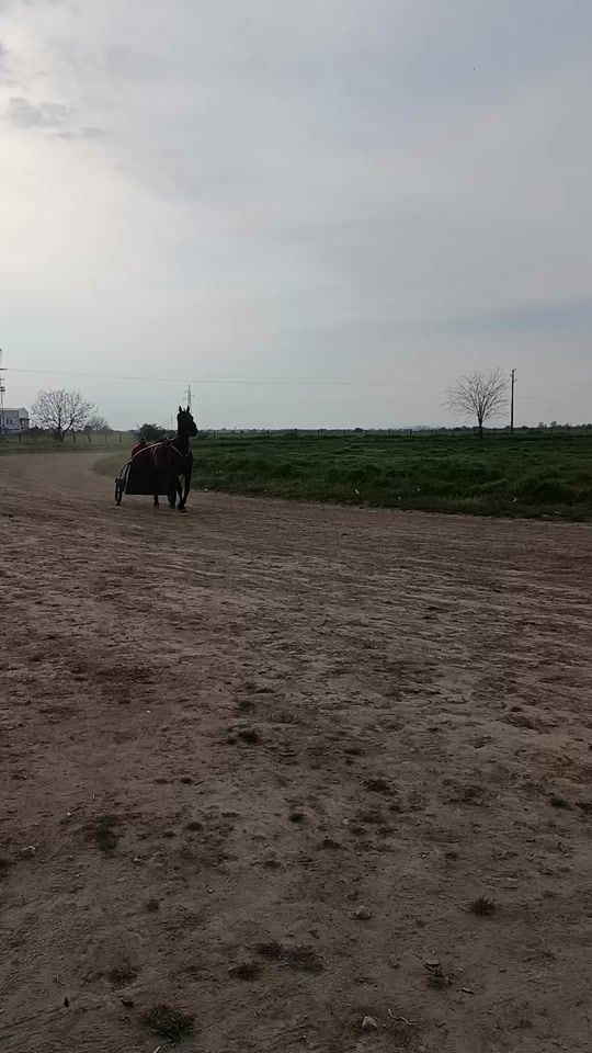 TikTok video thumbnail by adem.cambaza