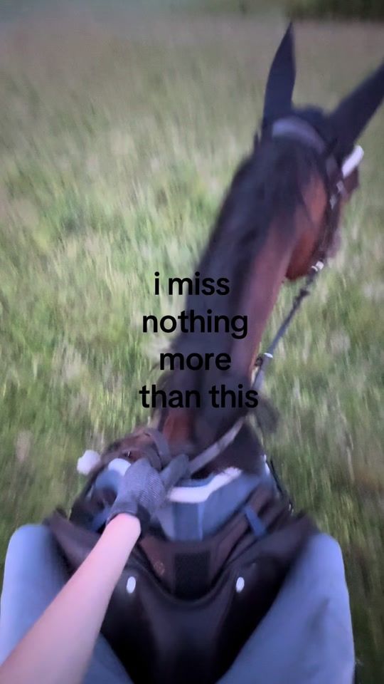 TikTok video thumbnail by eibnerovajulia