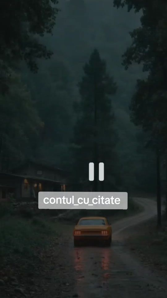 TikTok video thumbnail by stefan_florin