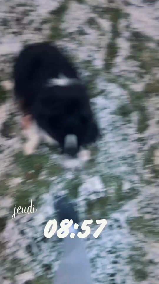 TikTok video thumbnail by .m_brd