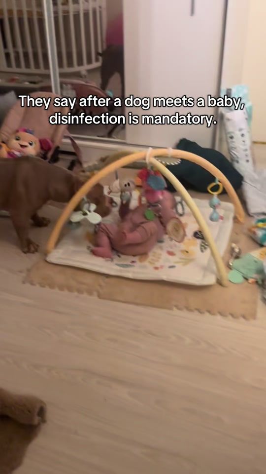 TikTok video thumbnail by hurremasuleiman