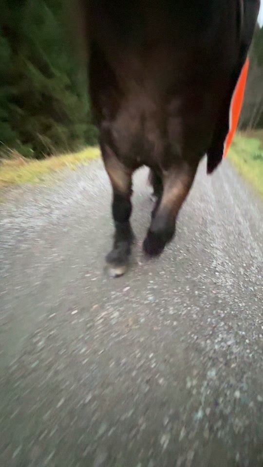 TikTok video thumbnail by sylvia.lid