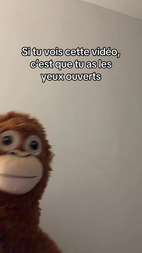 TikTok video thumbnail by mistermonkey54
