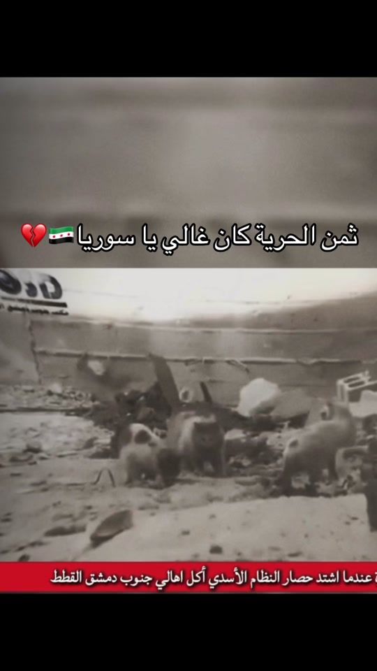 TikTok video thumbnail by alshami.221