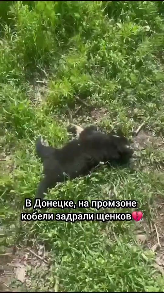 TikTok video thumbnail by laimdota.spakovsk