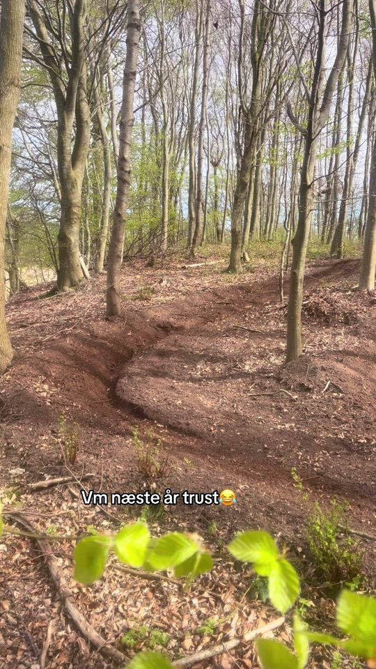 TikTok video thumbnail by xander.fischerrr