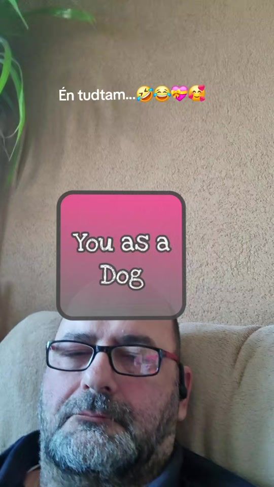 TikTok video thumbnail by polly.thecavapoo