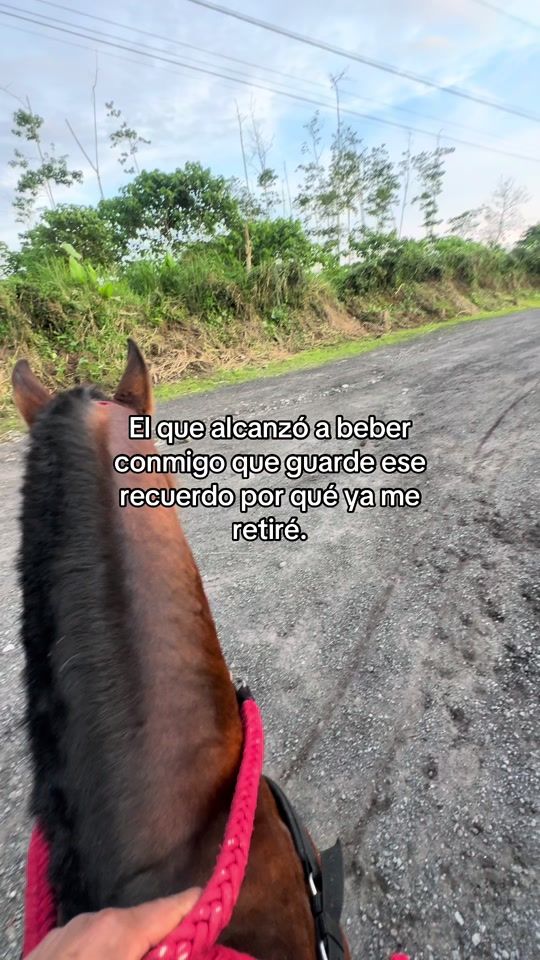 TikTok video thumbnail by reyesdelcaballoparqueado