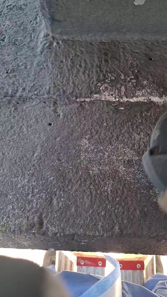 TikTok video thumbnail by farmer___fiu
