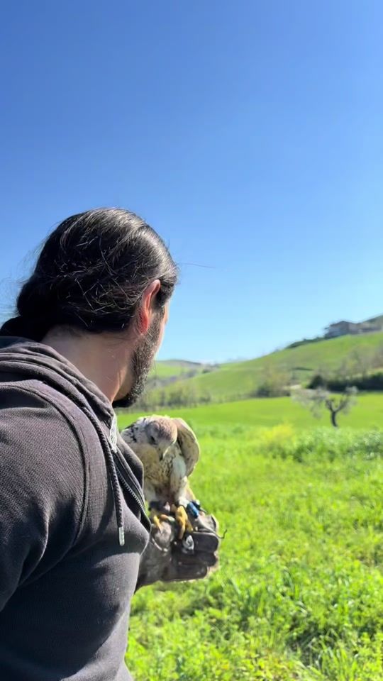TikTok video thumbnail by giovannigranati