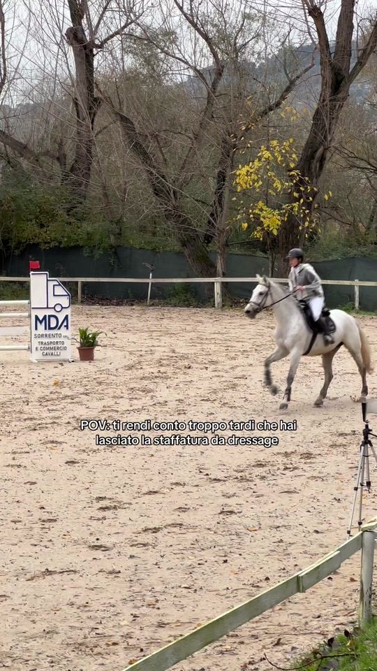 TikTok video thumbnail by equestrian_ale