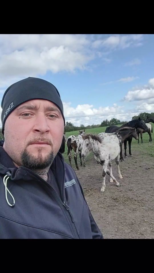 TikTok video thumbnail by mihai.1122