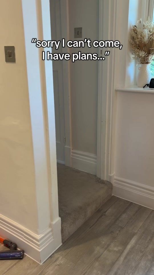 TikTok video thumbnail by kingstonthekitten
