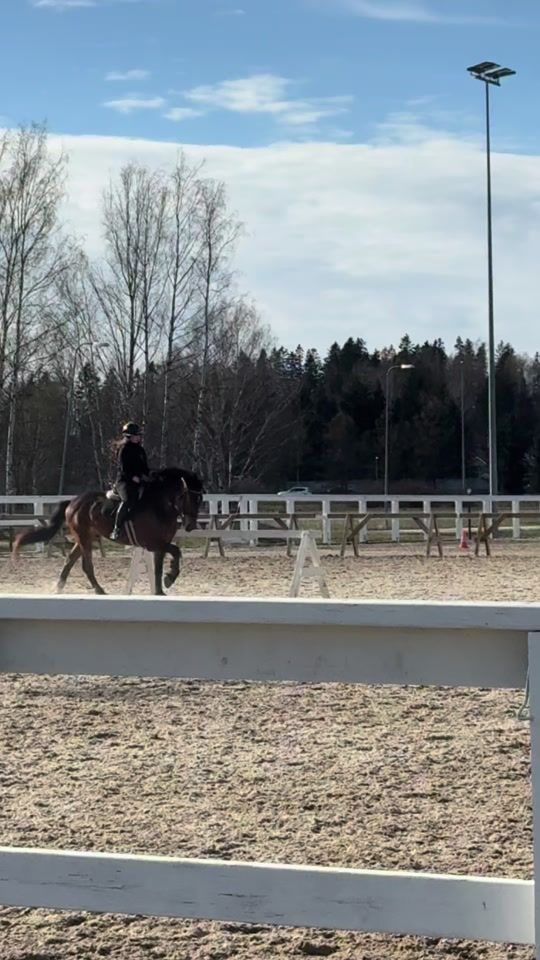TikTok video thumbnail by mh_equestrian