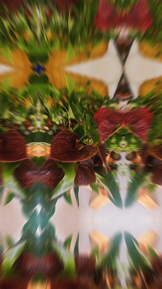 TikTok video thumbnail by kasinyigarden