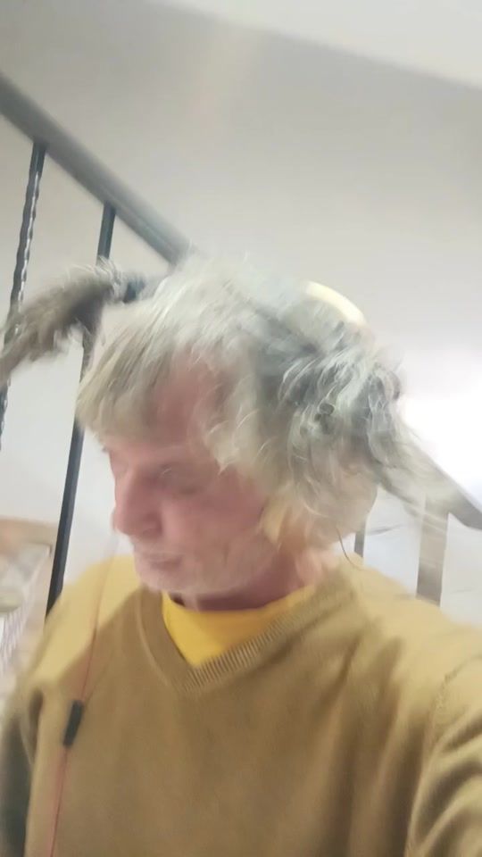 TikTok video thumbnail by antonioavecillalopez