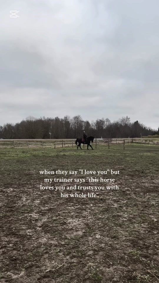 TikTok video thumbnail by emy_eq4