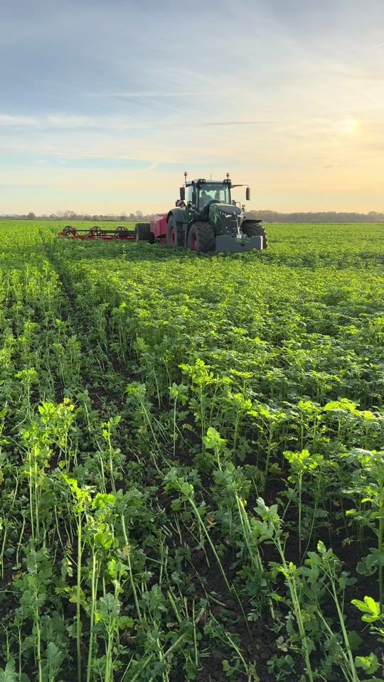 TikTok video thumbnail by bainesy13