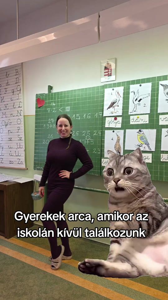 TikTok video thumbnail by dvivienne