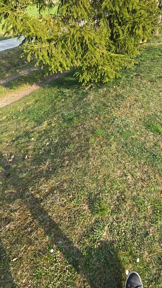TikTok video thumbnail by anemariamperl