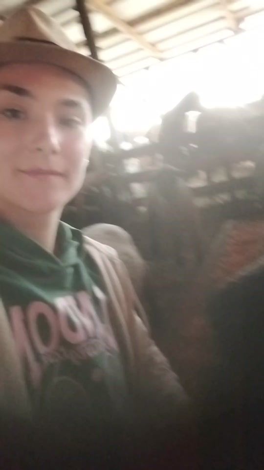 TikTok video thumbnail by raluca.chiorean