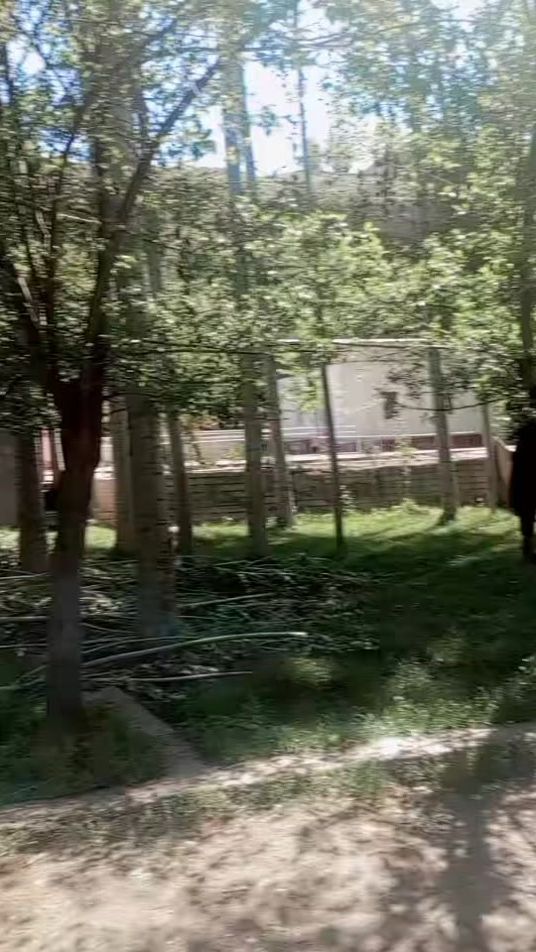 TikTok video thumbnail by user450778461160