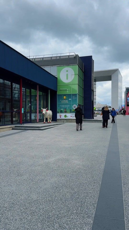 TikTok video thumbnail by parisladefense