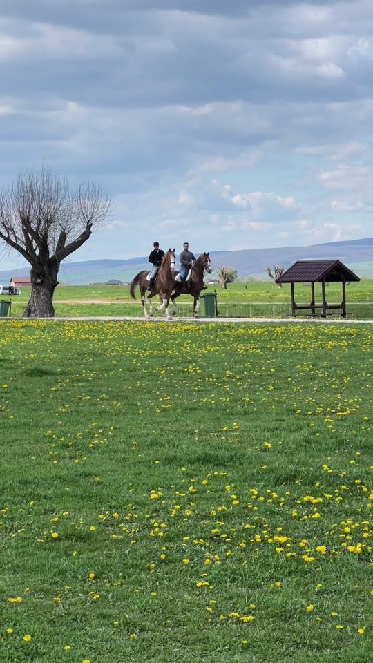 TikTok video thumbnail by cai.brasov
