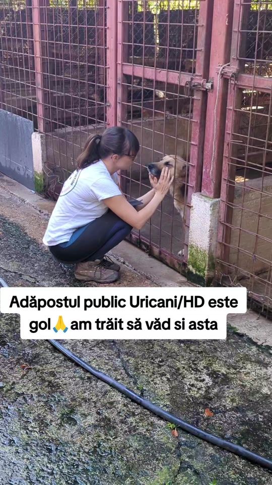 TikTok video thumbnail by sprijinpentruanimale