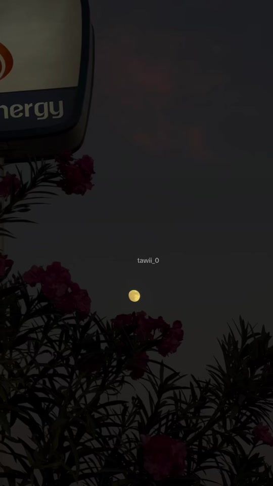 TikTok video thumbnail by ari.50.1