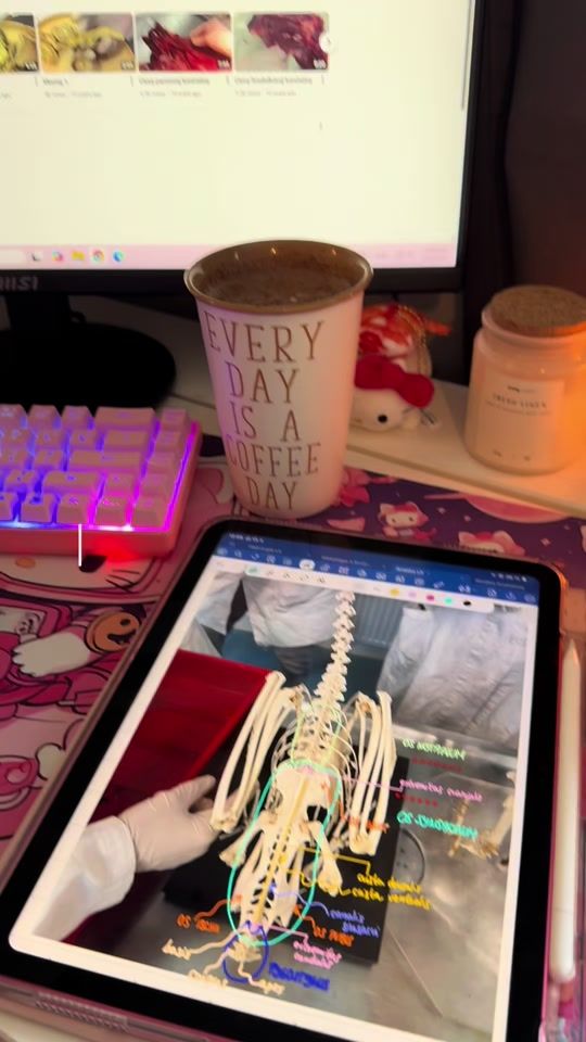 TikTok video thumbnail by leus.v