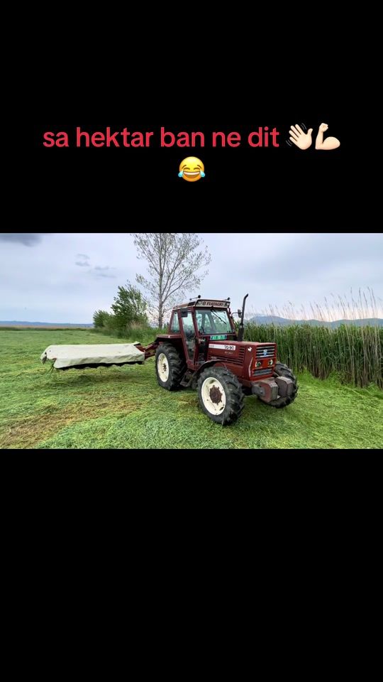 TikTok video thumbnail by idrizajagro