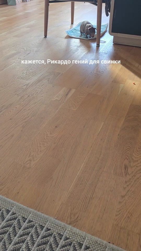 TikTok video thumbnail by orangebrains