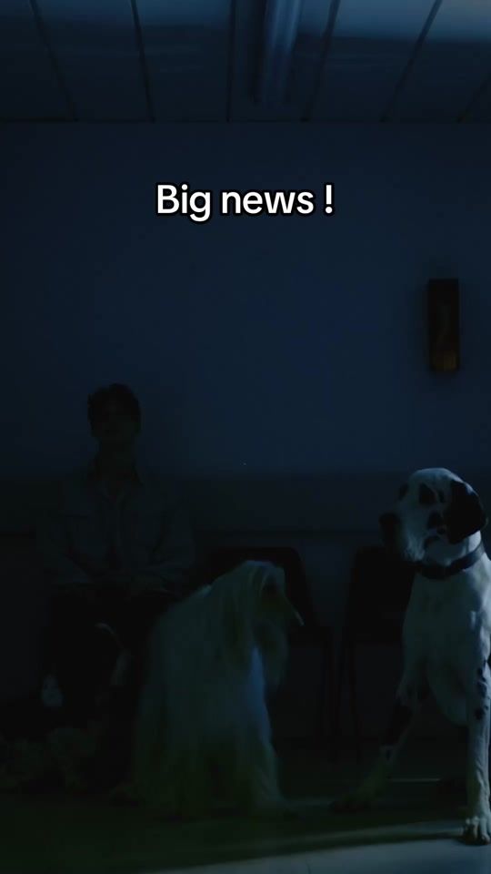 TikTok video thumbnail by barrycantswim1