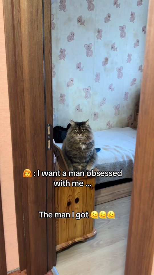 TikTok video thumbnail by iveliinaa