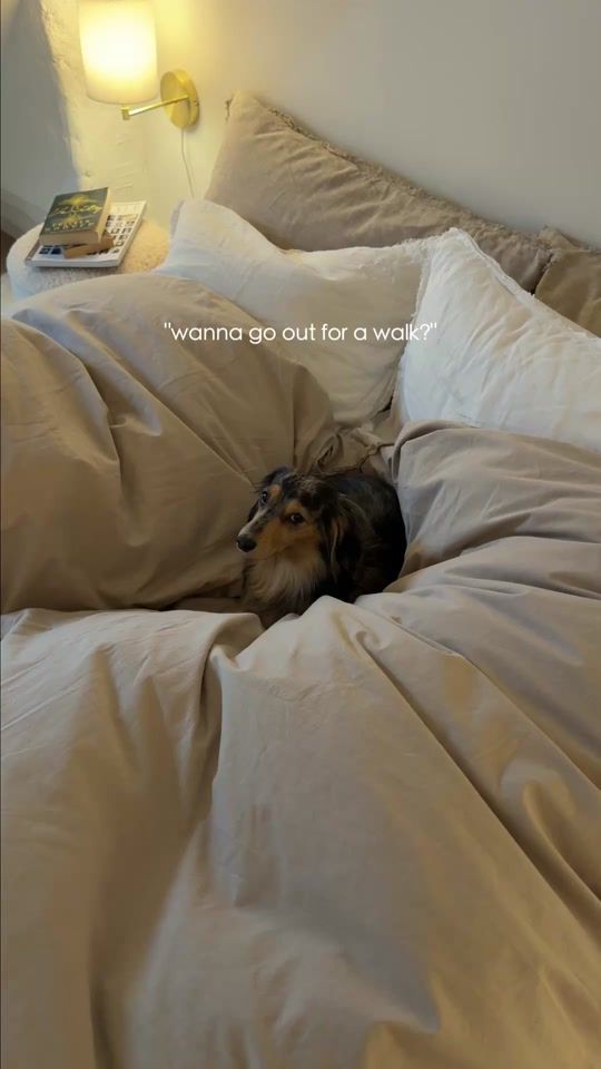 TikTok video thumbnail by happy_fluffy_cloud