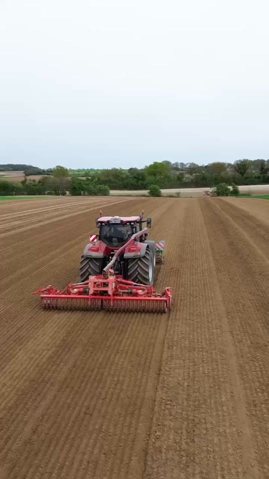 TikTok video thumbnail by hugo_farm