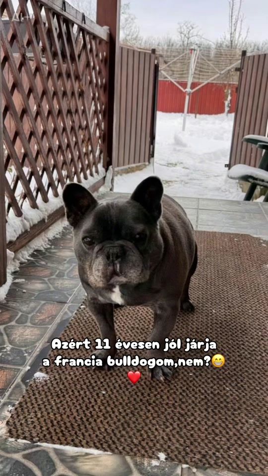 TikTok video thumbnail by whizzopet