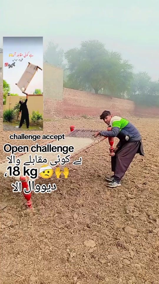 TikTok video thumbnail by ali_akbar_calisthenics