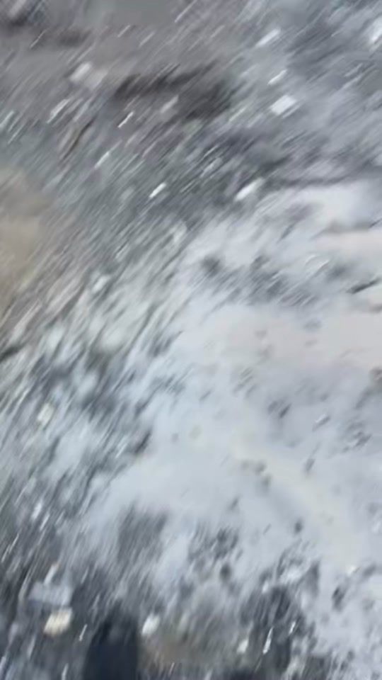 TikTok video thumbnail by swiss_farmer07