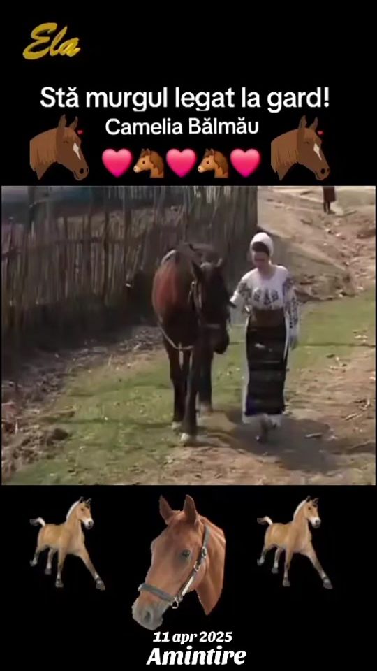 TikTok video thumbnail by ela.iancu