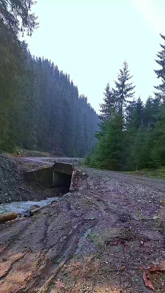 TikTok video thumbnail by alex..cobuz
