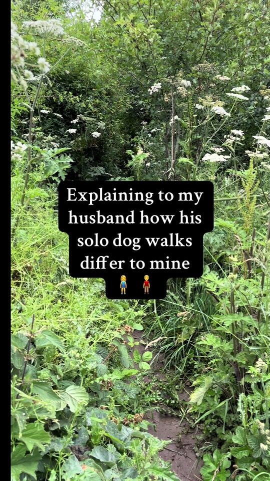 TikTok video thumbnail by beeskneesandbeyond